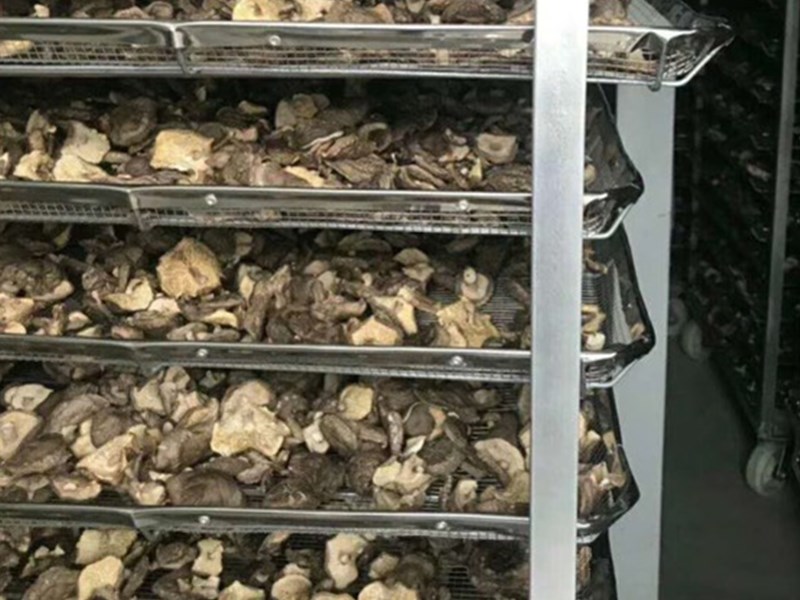 华中干燥 热销蘑菇烘干机 厂家直销食品烘干设备